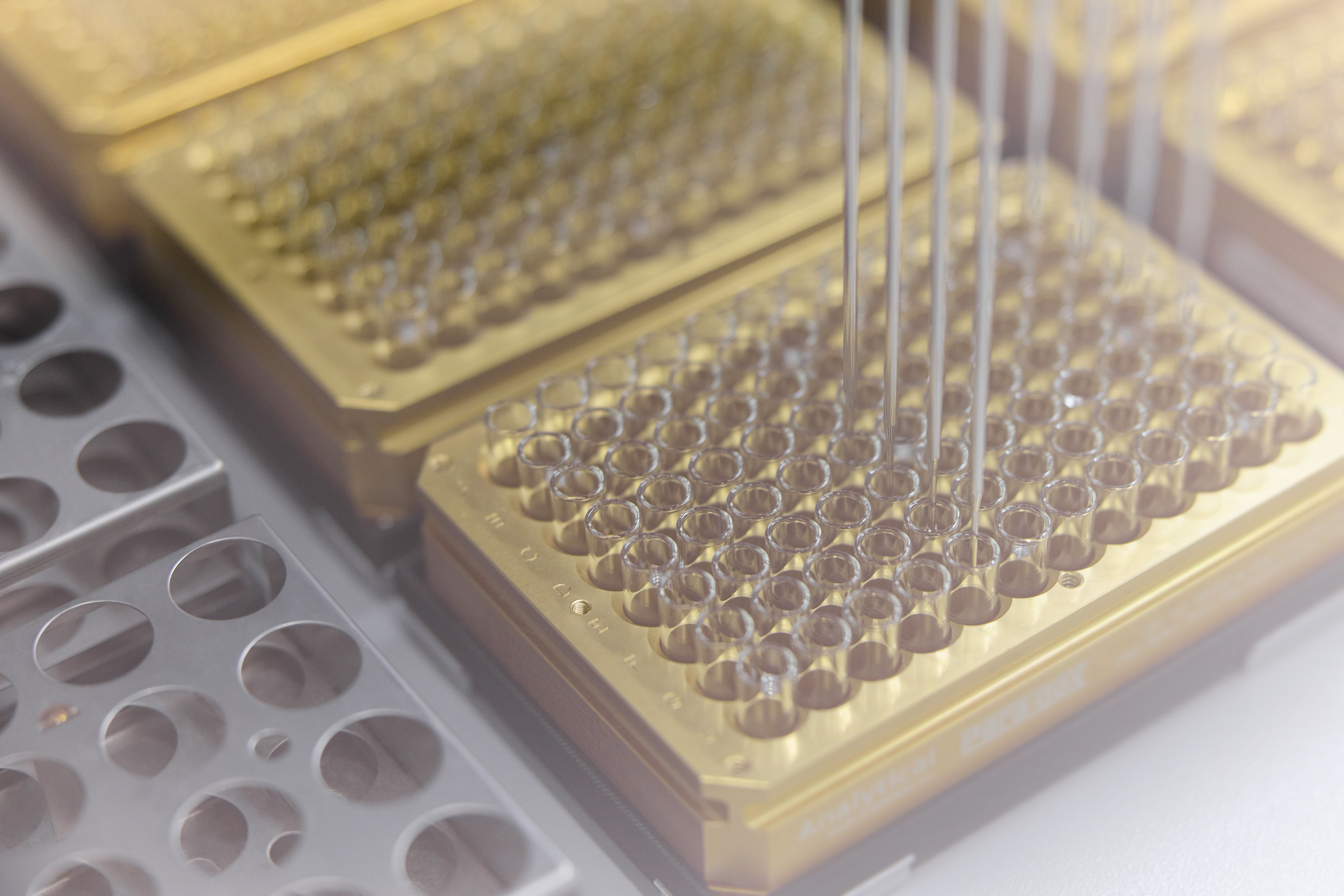 Close-up of a microplate with multiple wells, each being filled by thin metallic pipettes. The setting is a laboratory environment, conveying precision.